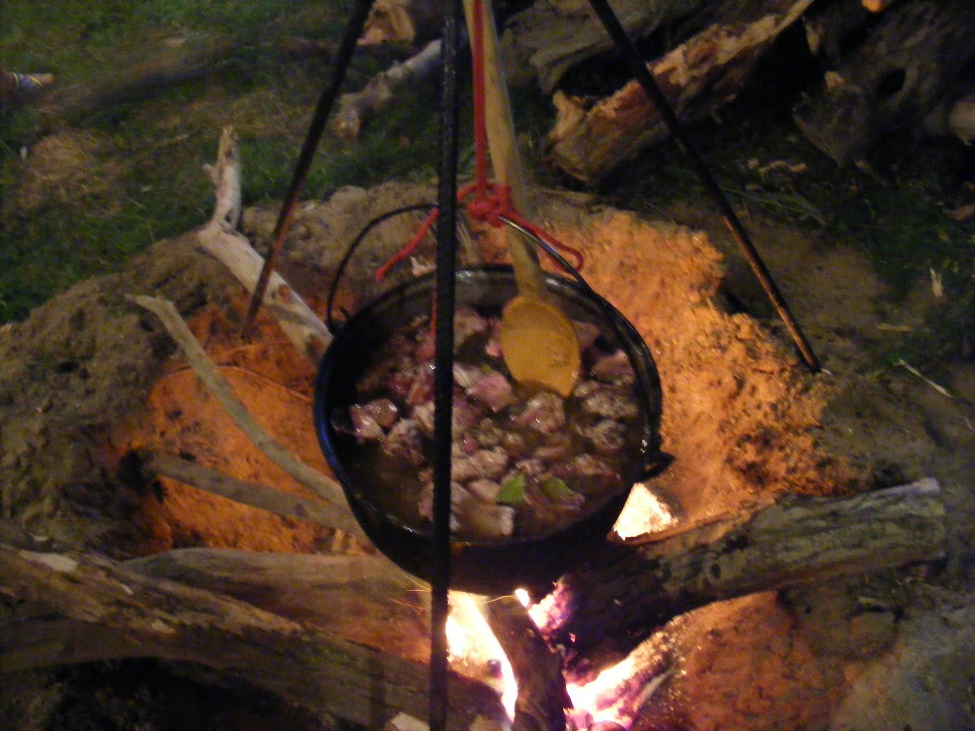 dunarea - dscf0098.JPG